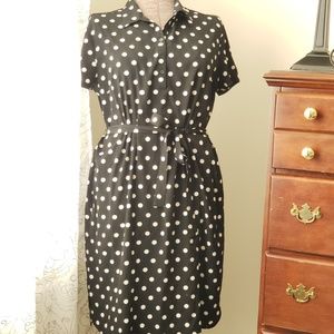 Ann Taylor Polka Dot short sleeve dress, size L